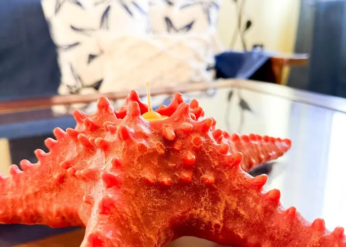 아파트 Catona House *